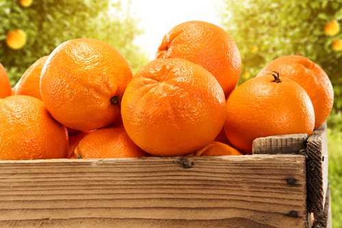 Apanhador de laranja é indenizado em R$ 50 mil por acidente de trabalho
