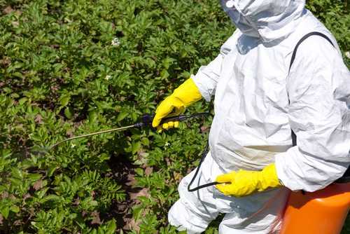 Município é condenado a pagar salários e FGTS de aplicador de herbicida contratado sem concurso público