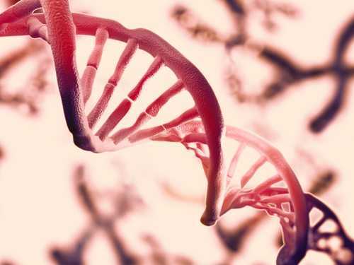 Criança será indenizada por erro em exame de DNA