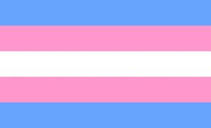 Juiz reconhece direito de transexual modificar seu gênero no registro sem cirurgia