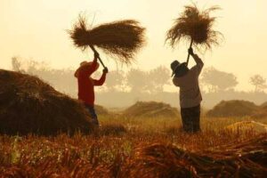 Fazenda é condenada a indenizar agricultor baleado por caseiro