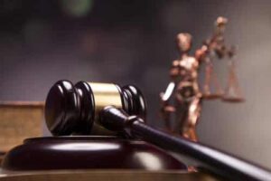 Homem é condenado por desmatar e represar igarapé em APP | Juristas