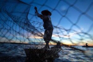 Pescador não consegue indenização por falta de peixes no São Francisco | Juristas