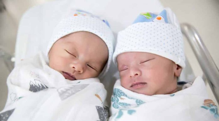 licença-maternidade gêmeos