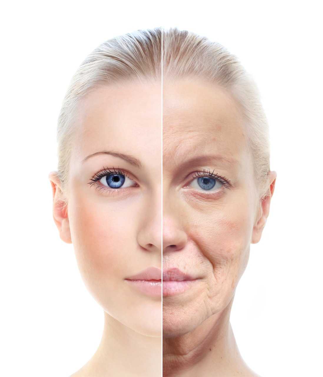 Juristas | Juristas