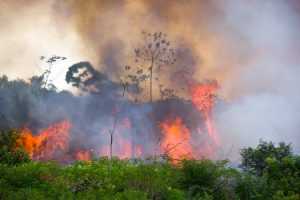 Medidas judiciais e as recentes queimadas na Amazônia