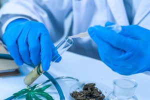 Autoridade sanitária não poderá impedir que farmácia de manipulação utilize derivados da Cannabis | Juristas
