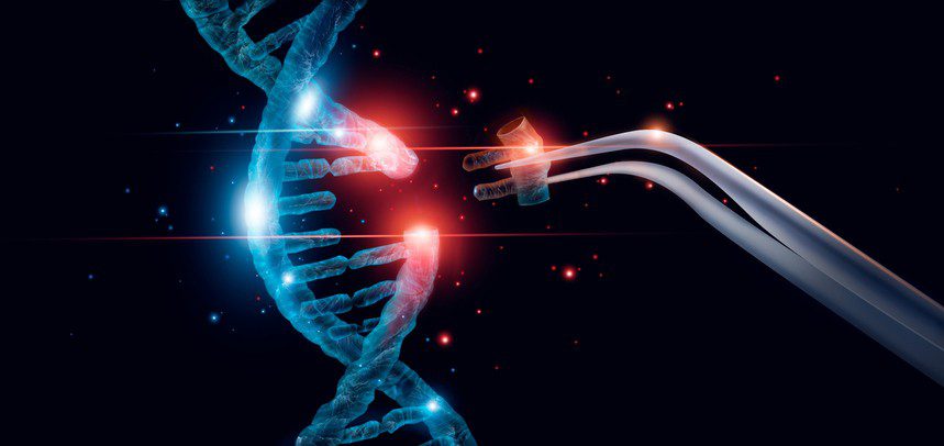 Instrumento particular - Exame de DNA