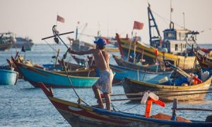 TRF4 mantém multa de R$ 300 mil aplicada pelo Ibama por pesca predatória | Juristas