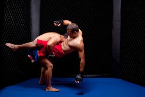 Lutador de MMA deve ser indenizado por ataques nas redes sociais | Juristas