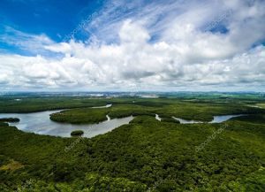 Ministro da justiça afirma no Twitter que restos mortais achados no Amazonas serão submetidos à perícia | Juristas