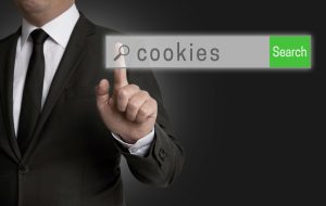 Cookies - Termo de Privacidade