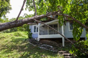 Município deve indenizar e prover residência provisória para família que teve casa danificada por árvore | Juristas