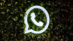 Vice-presidente do TRT-17 é investigada pelo CNJ por mensagens em grupo de WhatsApp | Juristas